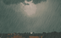 烟雨三月 沉浸在朦胧春景中