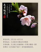 喊你去九龙坡赏花！要得！