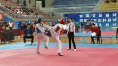 2017年重庆市青少年跆拳道锦标赛在荣昌举行