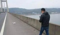 司机被忠县长江大桥风景吸引，车停沪渝高速玩航拍