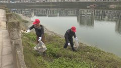 垫江：世界水日 环保志愿者龙溪河拾垃圾