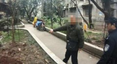 奇葩小偷不偷钱财却偷树