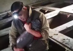 万州崽儿投资1000万元养娃娃鱼 还有2万条没卖掉