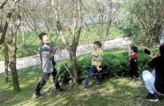 两对夫妻为拍照 抱着樱花树猛摇