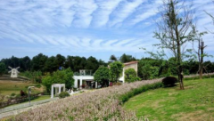 重庆最适合野炊的好地方 吃货们走起