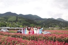 重庆昨日最高温28℃ 今日雨来局地大雨