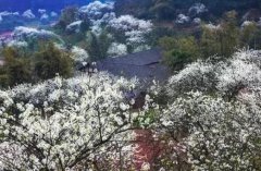 字不重要，看图！重庆竟有一个适合心灵归隐的地方