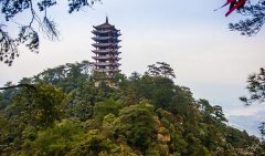 赶快通知小伙伴 五元就能坐索道上缙云山啦