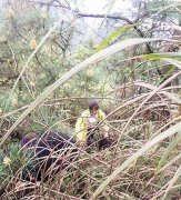 女大学生只身爬山迷路 民警微信共享位置解救