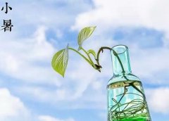 重庆今明仍有暴雨后天起升温