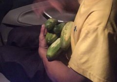  男子捧着黄瓜夜行高速路 原因让人哭笑不得