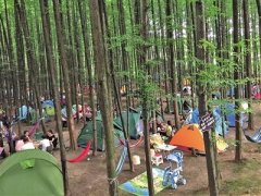 重庆一景区现千顶帐篷