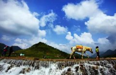 很凉快！重庆八月最值得去的四个避暑地