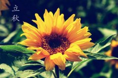 立秋到降温来  重庆今天下午有暴雨大风