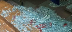 钢化玻璃爆碎 门市老板手臂被划伤