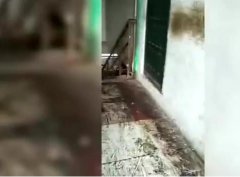 重庆一小区垃圾堆放楼道间 污水遍地恶臭熏天