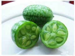 “拇指版”世界上最小的西瓜即将在重庆上市