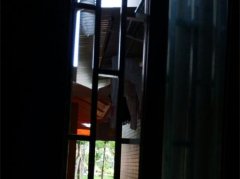 家中整面墙发霉掉落  竟和邻居搭雨棚有关