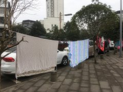 绳绑行道树晒衣晾被 路人：煞风景