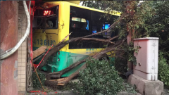 重庆一公交冲进路边门市  撞断树木