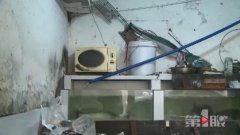 深夜传来怪声难入眠 竟是邻居装了这东西