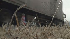 渝湘高速重庆境内海拔最高路段结冰