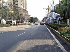 开州城市景观树穿上“保护衣”温暖过冬