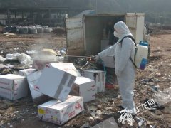 30箱美国来渝大鳌虾腐败变质被依法销毁