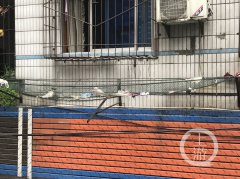 二楼的防盗网成了“垃圾场”