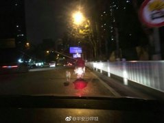 危险！奇葩小伙竟骑摩托车遛狗