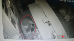 每天餐馆一开门 这个大胆的“贼娃子”就来偷东西