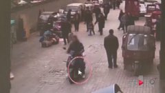 马路上发现娃娃鱼 年轻男子抱起就跑