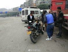 二哈横穿马路  摩托车受惊吓摔倒