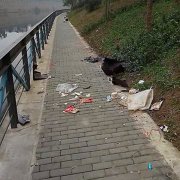 步道上的多个垃圾桶遭毁 有的还被扔进河