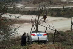 轿车冲下陡坡 大树救了车上3人性命