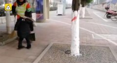 暖心！7岁萌娃帮婆婆捡垃圾