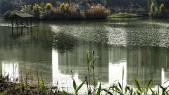 “重庆最美公园”名单出炉 有你家附近的没？