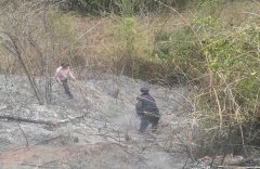 农夫烧杂草引燃荒坡  致两亩荒草和十余棵杂树被烧毁