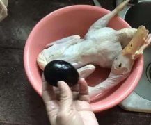 鸭子肚子里弄出一颗黑色的蛋   原因成迷