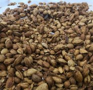 超市食品遭遇野蛮试吃  全是吃剩的壳