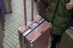 顾客购买行李箱遭“强卖”   老板却喊冤“被强买”