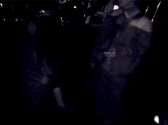 流浪狗咬伤人 长期喂养人需要承担赔偿责任