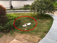 家长放任小孩在草坪大便  市民劝阻遭怼：关你屁事