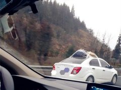 轿车后备箱装不下 行李直接拴车顶上