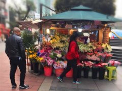 小孩买花送老师  遭店主怼：买不起就别买