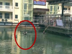 女子河边洗衣服 不慎失足掉入河中