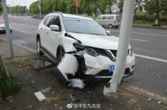 好心司机为躲避小狗猛打方向  损失数万元