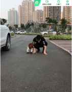 “戏精”泰迪  开启“与众不同”的赛跑