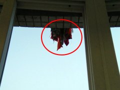 邻居高空挂物 楼下业主无可奈何