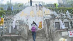 本周末将迎来清明祭祀小高峰